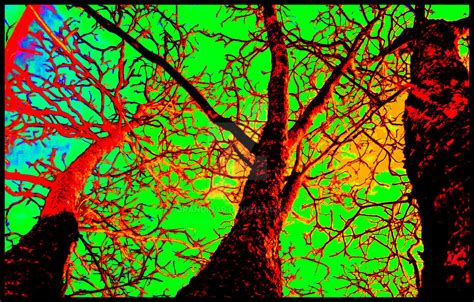 Psychedelic Tree By Brandinar On Deviantart