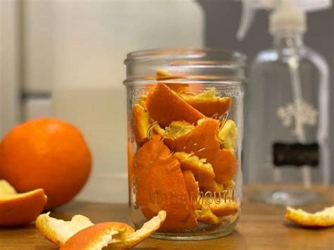 How To Make Insecticide Using Orange Peel