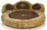 Pet Beds For Dogs On Sale Pictures