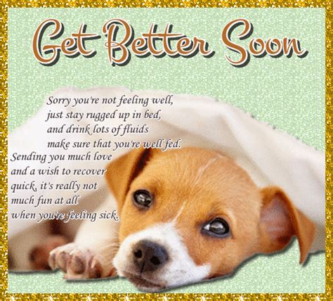Pin By Kurtis Weber On Get Well Cards In 2020 Sick Pets Get Well