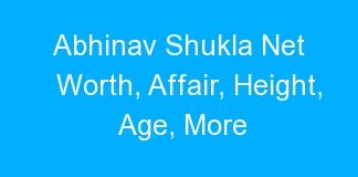 Abhinav Shukla Net Worth Affair Height Age More