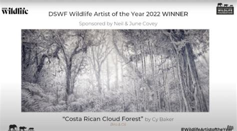 Wildlife Artist Of The Year Won By Cy Baker Archelle Art