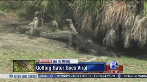 12 Foot Alligator Seen On Florida Golf Course