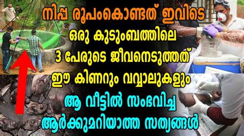 As per the reports, a fresh case has been tested positive and others who have shown the symptoms have been quarantined. Nipah Virus : നിപ്പയുടെ ഉത്ഭവം ഇവിടെനിന്ന് | Oneindia ...