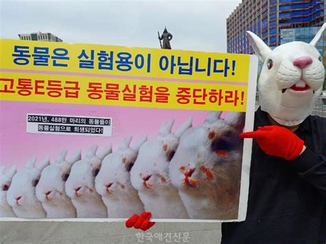 한국동물보호연합 동물실험 중단 촉구 기자회견 개최