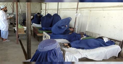 Cinco Niñas Envenenadas En Escuela Afgana Regresan Al Hospital