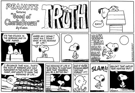 For February 09 1975 The Charlie Brown And Snoopy Show Comic Strips