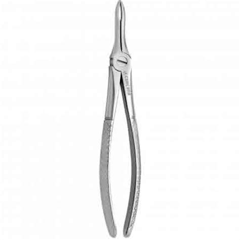 Tooth Forcep 41 Atx Dental Solutions