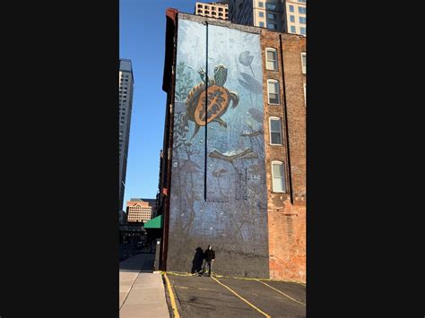 Massive Turtle Mural In Hartford Unveiled | Greater Hartford, CT Patch