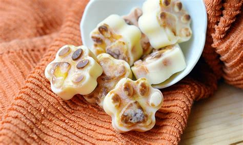 Easy Pumpkin No Bake Treats For Dogs Just 3 Ingredients Sunny Day