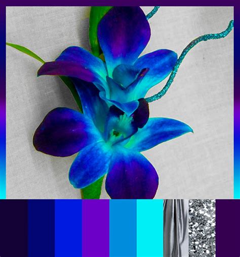 Blue Orchid And Silver Purple And Blue And Teal And Cyan And Silver