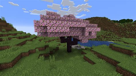 How To Find And Grow Cherry Trees Easily In Minecraft 120 Update