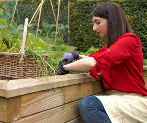Accessible Gardening Woodblocx Woodblocx