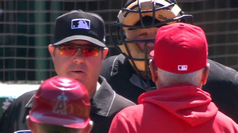 Joe Maddon Gets His Moneys Worth After Being Ejected Baseball