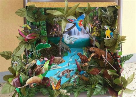 The tropical rainforest biome is an ecosystem that covers about 7% of the earth's surface. Tropical Rainforest Diorama. Made this for my daughter's ...