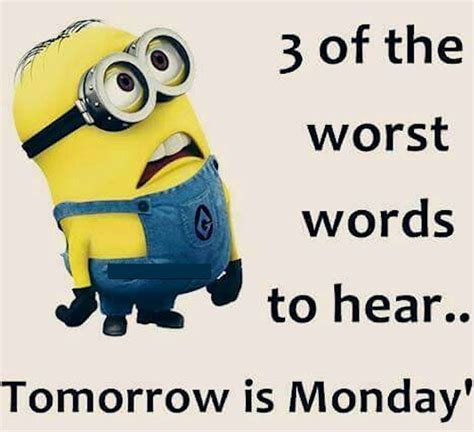 Tomorrow Is Monday Minion Quote Pictures Photos And Images For