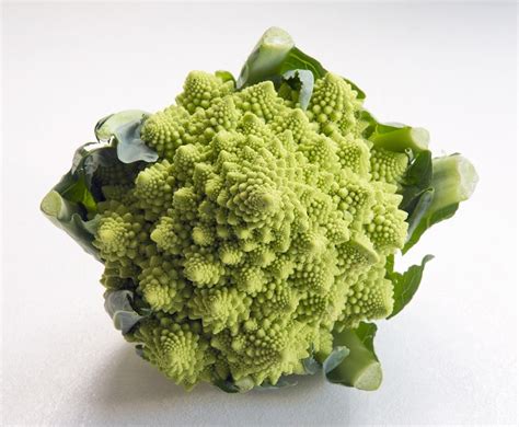 21 Unusual Vegetables Youve Probably Never Seen Or Heard Of