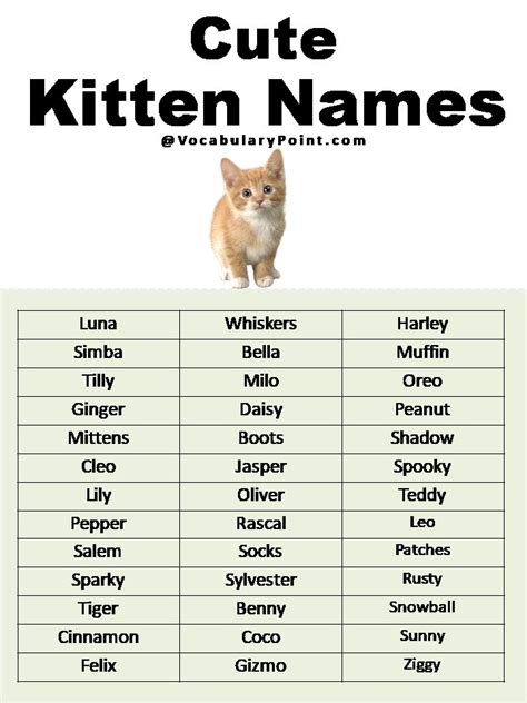 The Cat Name Chart For Kitten Names In English And Spanish With An