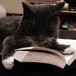 Find all the books, read about the author, and more. Cats! Books! Cats reading books! What's not to like? And ...