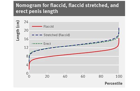 Addition Info For Average Length Of A Flaccid And Erect Penis Is