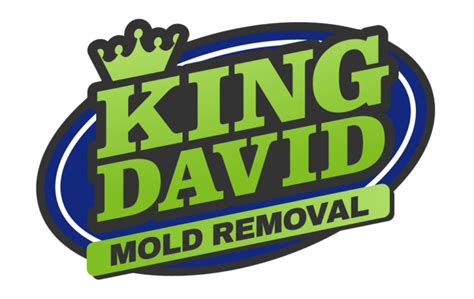 Contact Us King David Mold Removal