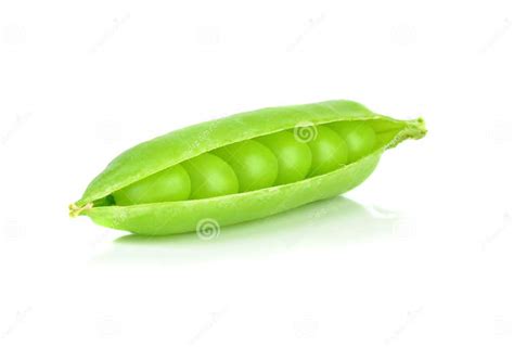Fresh Peas In A Pea Pod Stock Photo Image Of Peapods 32631950