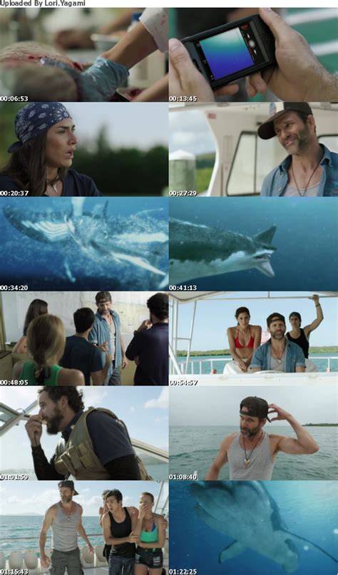 I wasn't at all interested in any of the characters in this movie, and all of the men were stupid. 5-Headed Shark Attack 2017 BluRay 1080p DD5 1 H265-d3g ...