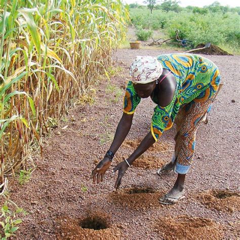 Ifad And The Government Of Niger Are Improving Agricultural