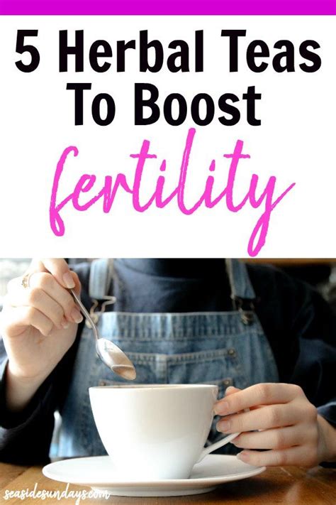 The Best Herbal Teas To Increase Fertility Recipe Fertility Tea Herbalism Fertility Boost