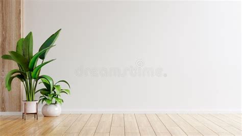 White Wall Empty Room With Plants On A Floor Stock Illustration