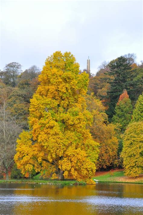 Autumn Colours Stourton Wiltshire England Stock Photos Free And Royalty