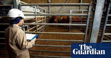 Slaughterhouse To Steakhouse Food The Guardian