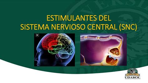 Estimulantes Del Sistema Nervioso Central DANTE CISNEROS GOMEZ UDocz