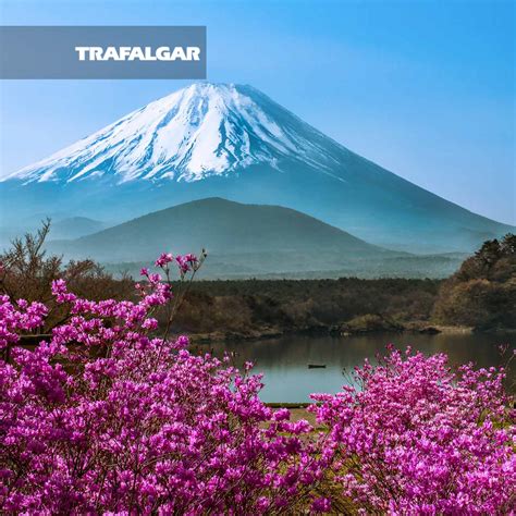Japan Holidays Packages And Deals 2017 Flight Centre Nz