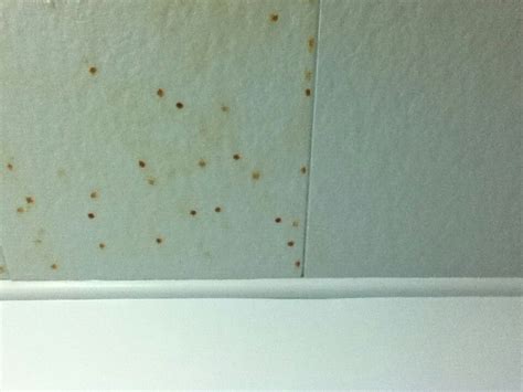 Yellow Spots On Bathroom Ceiling Renews