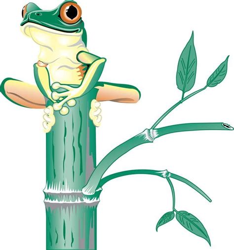 Tree Frog Eps Vector Uidownload