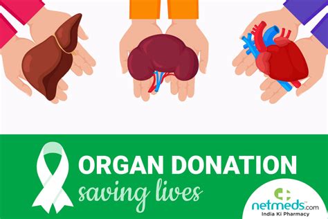 World Organ Donation Day Why Should You Consider Orga