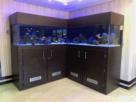Custom Aquariums We Build Custom Fish Tanks In Johannesburg