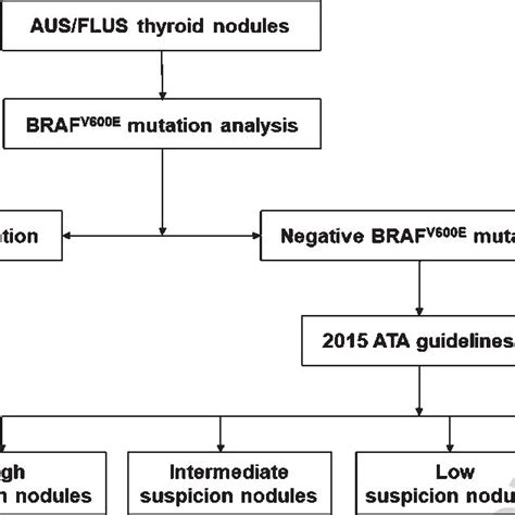 The Diagnostic Algorithm Of Thyroid Nodules With Ausflus Cytology