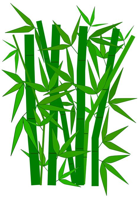 Clipart Bamboo Graphic