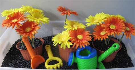 Metamora Community Preschool How Does Your Garden Grow