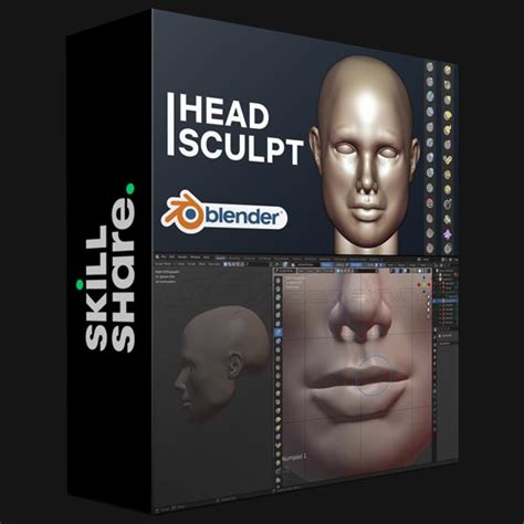skillshare sculpting human head in blender for beginners gfxdomain blog