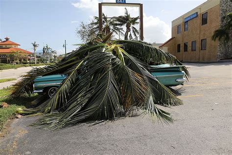 A Car Covered By A Downed Tree Is Shown The Morning After Hurricane