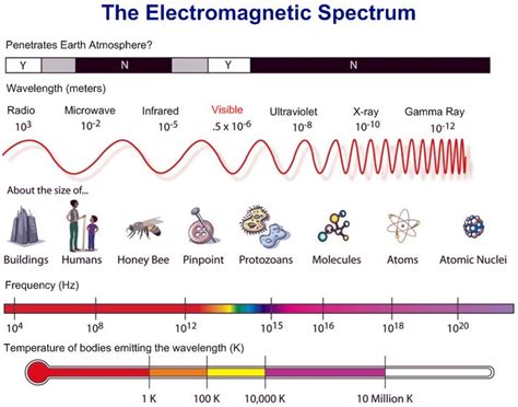 Electromagnetic Spectrum Electrodynamic Chart Showing Wavelength Size