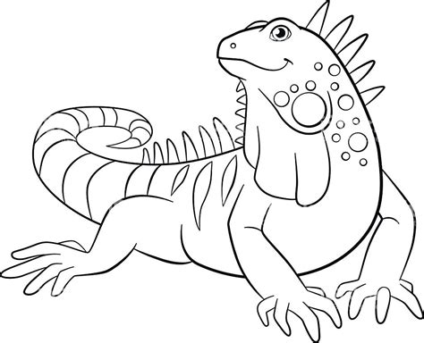 Iguana Coloring Page At Getdrawings Free Download