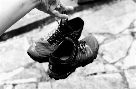 Seek Peace - ILLUMINATION - Medium