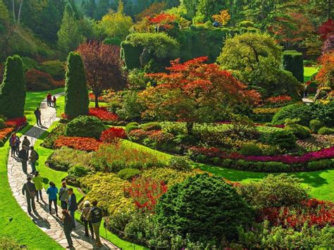 We did not find results for: Butchart Gardens bans single-use plastic water bottles