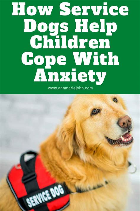 Can Service Dogs Help Children Cope With Anxiety Annmarie John Llc