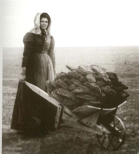 Pioneer Women Looks Like Cow Chips In Wheelbarrow Pioneer Life