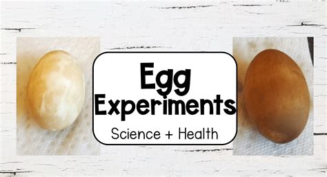 Exciting Egg Experiments To Try At Home Or School